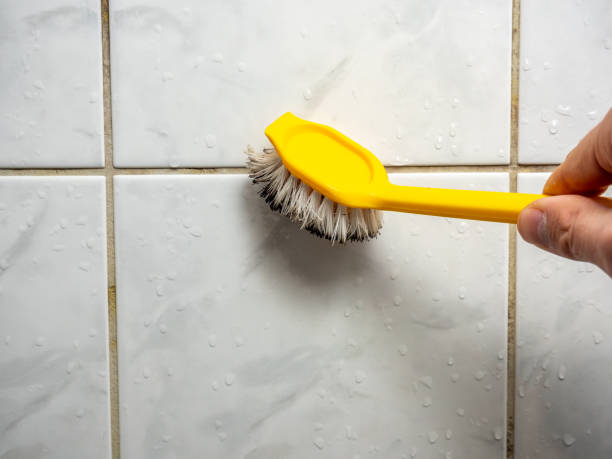 Best Residential Mold Removal  in Jacksonville, FL