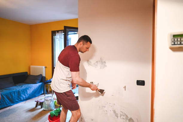 Best Home Mold Removal  in Jacksonville, FL